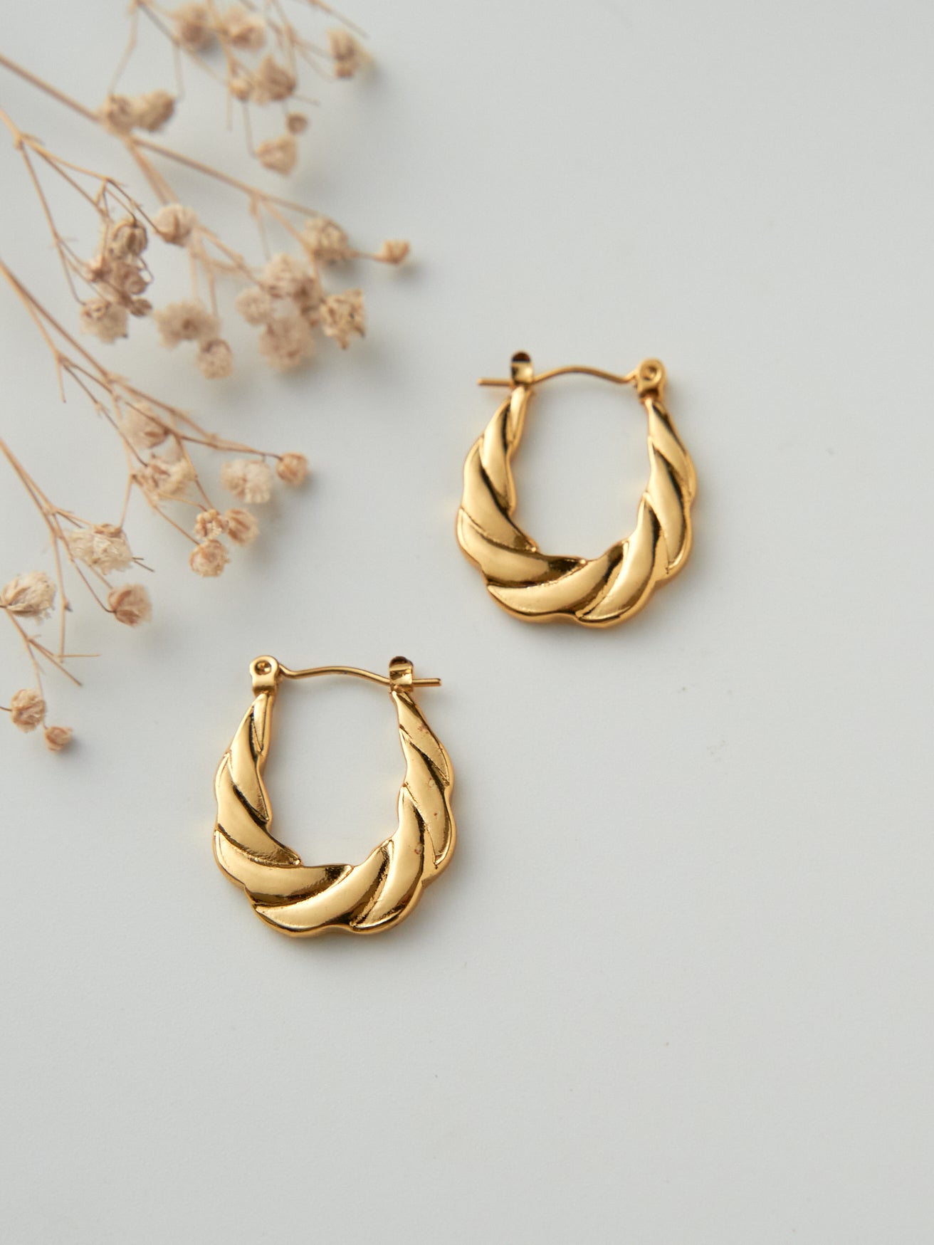 Oval twisted hoops