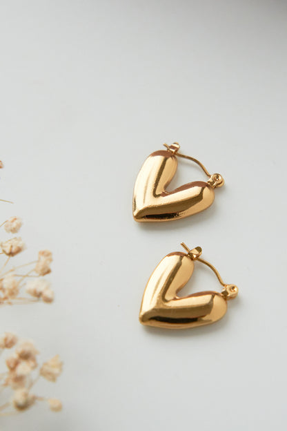 Heart shiny hoops