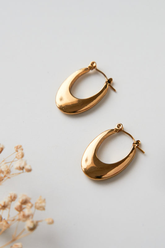 Oval shiny hoops